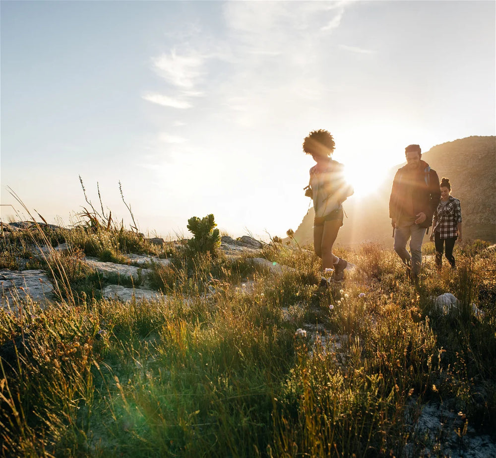 Happy family in nature, sunlight, river, grass